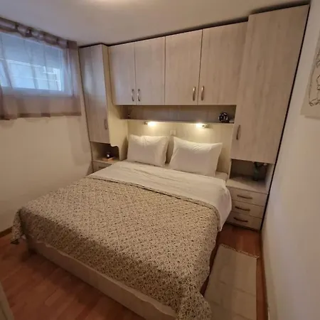 Cozy Mimi In The Center Of *