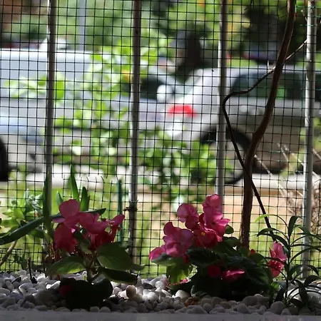 Cozy Mimi In The Center Of Apartment